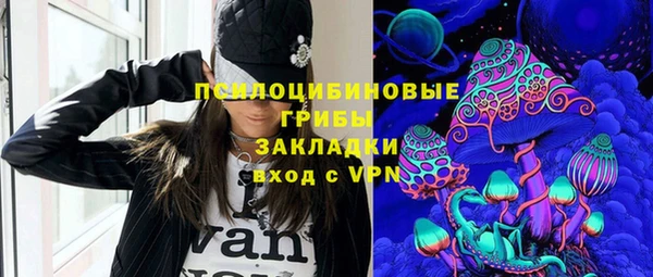 PSILOCYBIN Киреевск