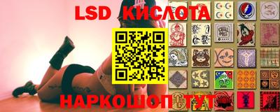 ПСИЛОЦИБИНОВЫЕ ГРИБЫ Лесной