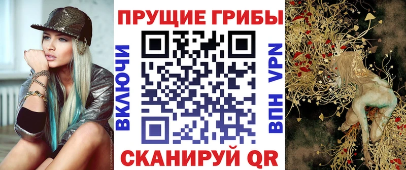 Псилоцибиновые грибы Psilocybine cubensis  OMG tor  Красноперекопск 