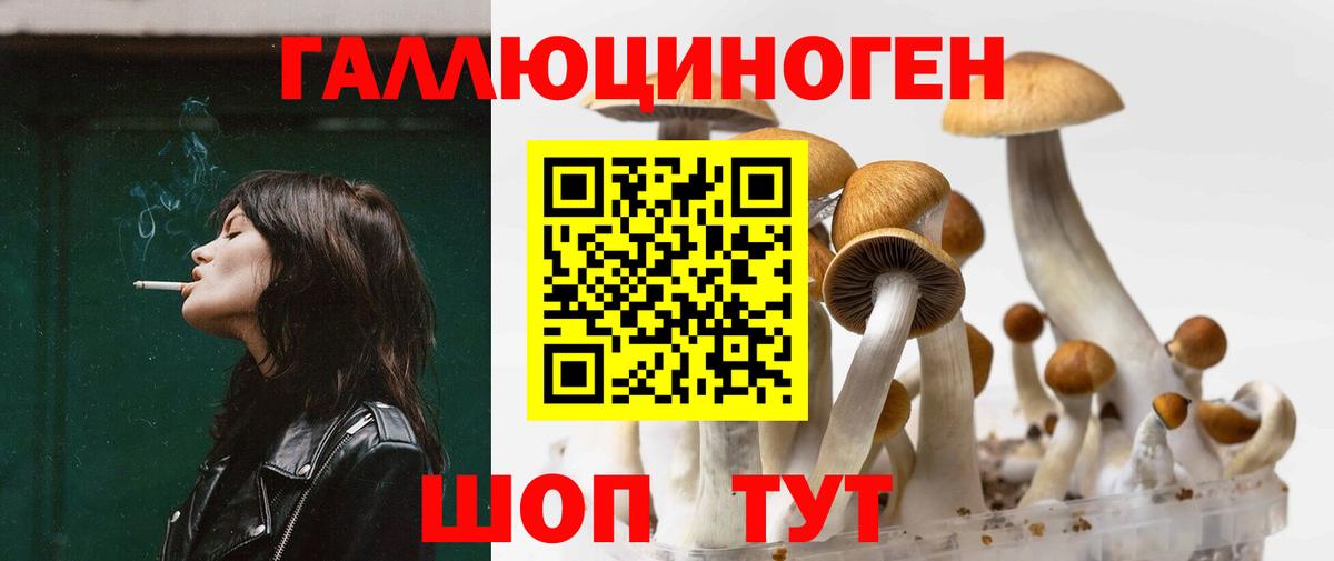Красноперекопск  Галлюциногенные грибы мухоморы  Галлюциногенные грибы Psilocybine cubensis  Вход с VPN 